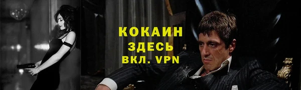 мдпв Козельск